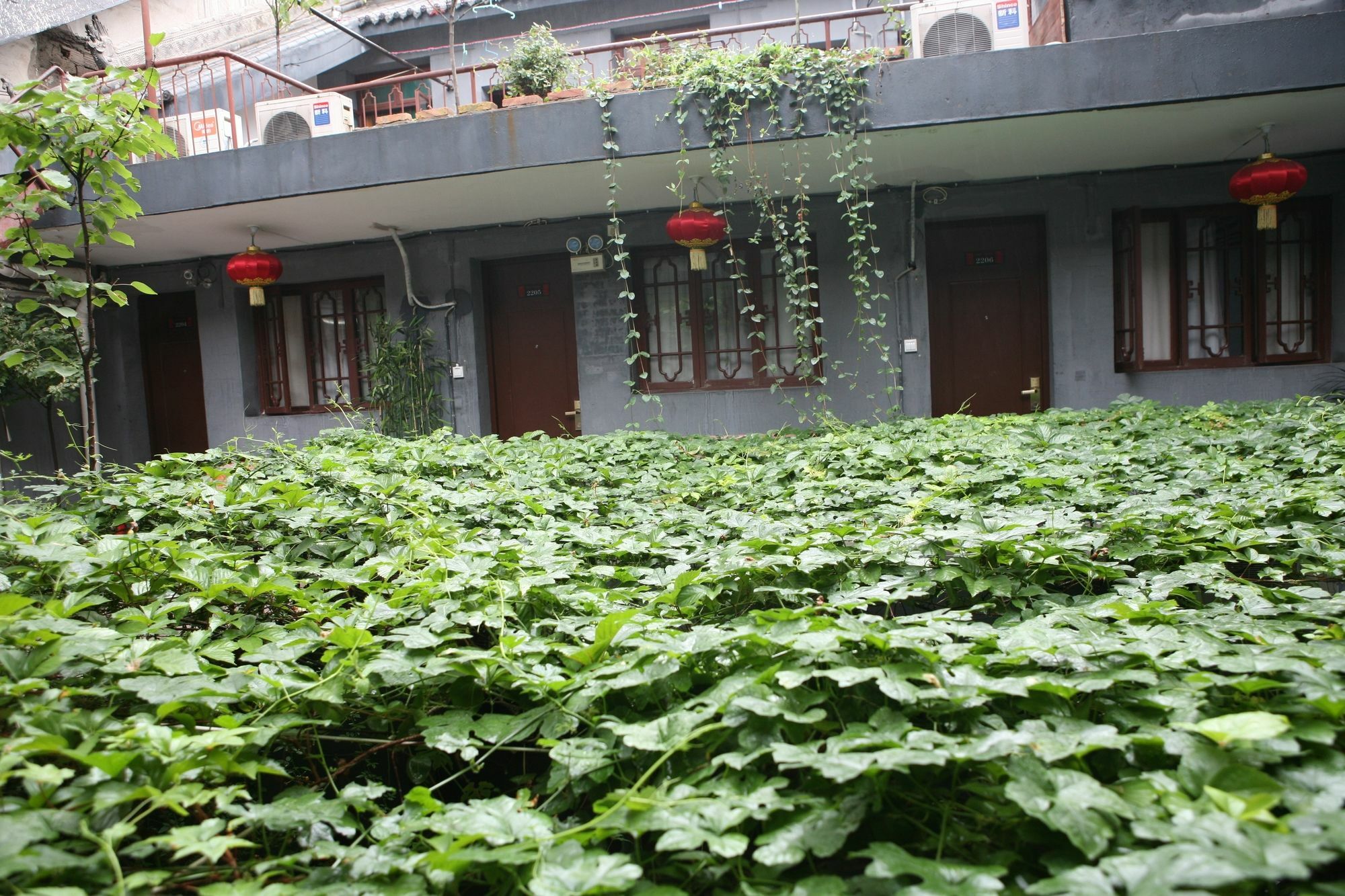 Shuyuan Youth Hostel Xi'An Сиан Екстериор снимка